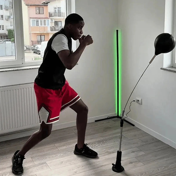 Cobra Bolsa de Golpes